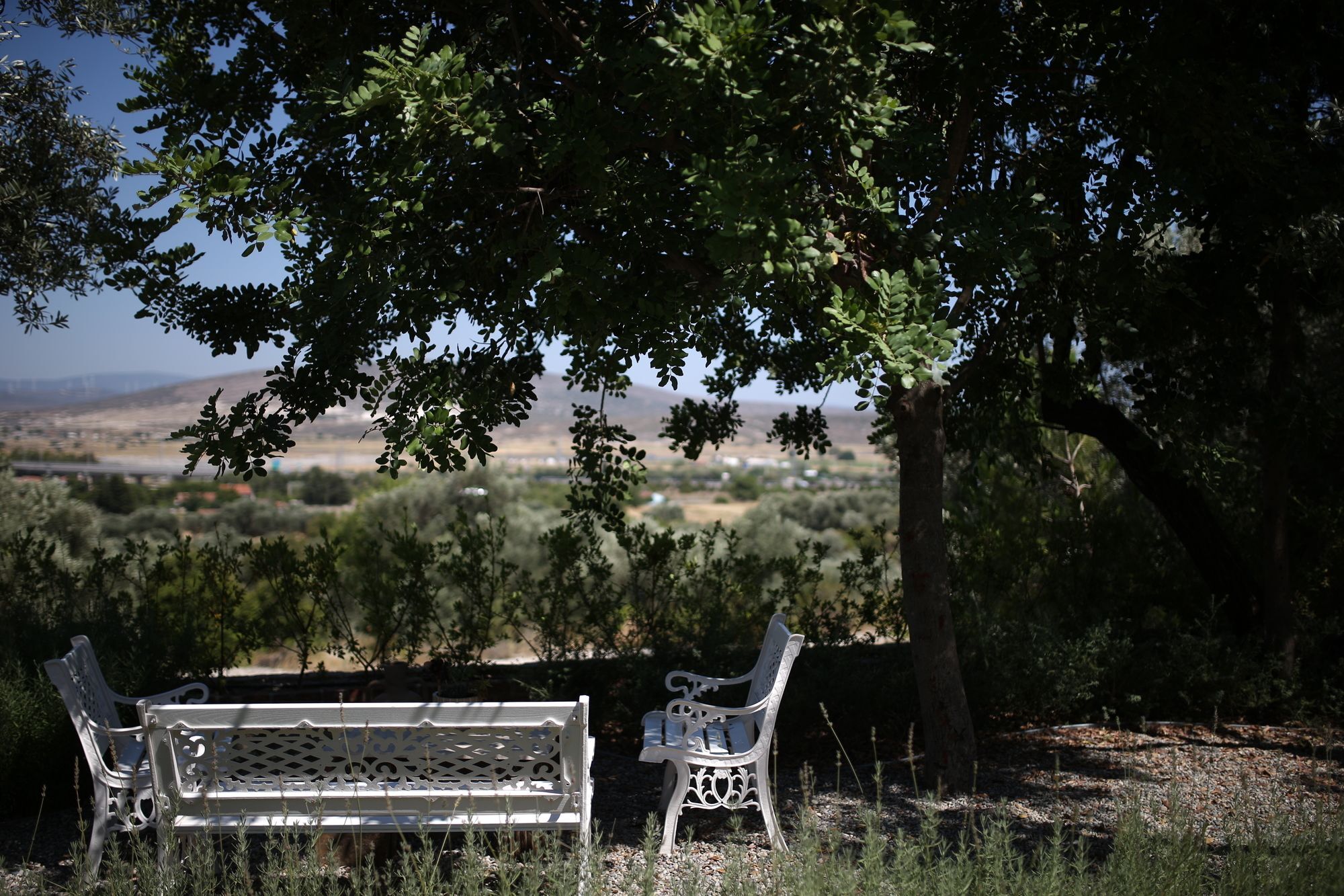Villa Taraça Alaçatı Romantik Otel Exterior foto